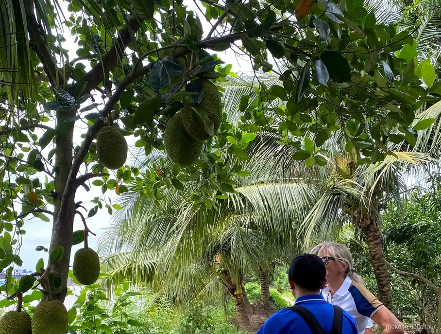 Hand-rowed sampan ride through coconut canals in Ben Tre