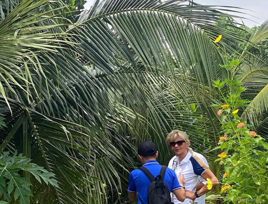 Village walk through fruit orchards on the Mekong Delta tour